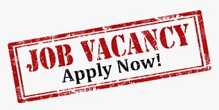 Job Position:  
