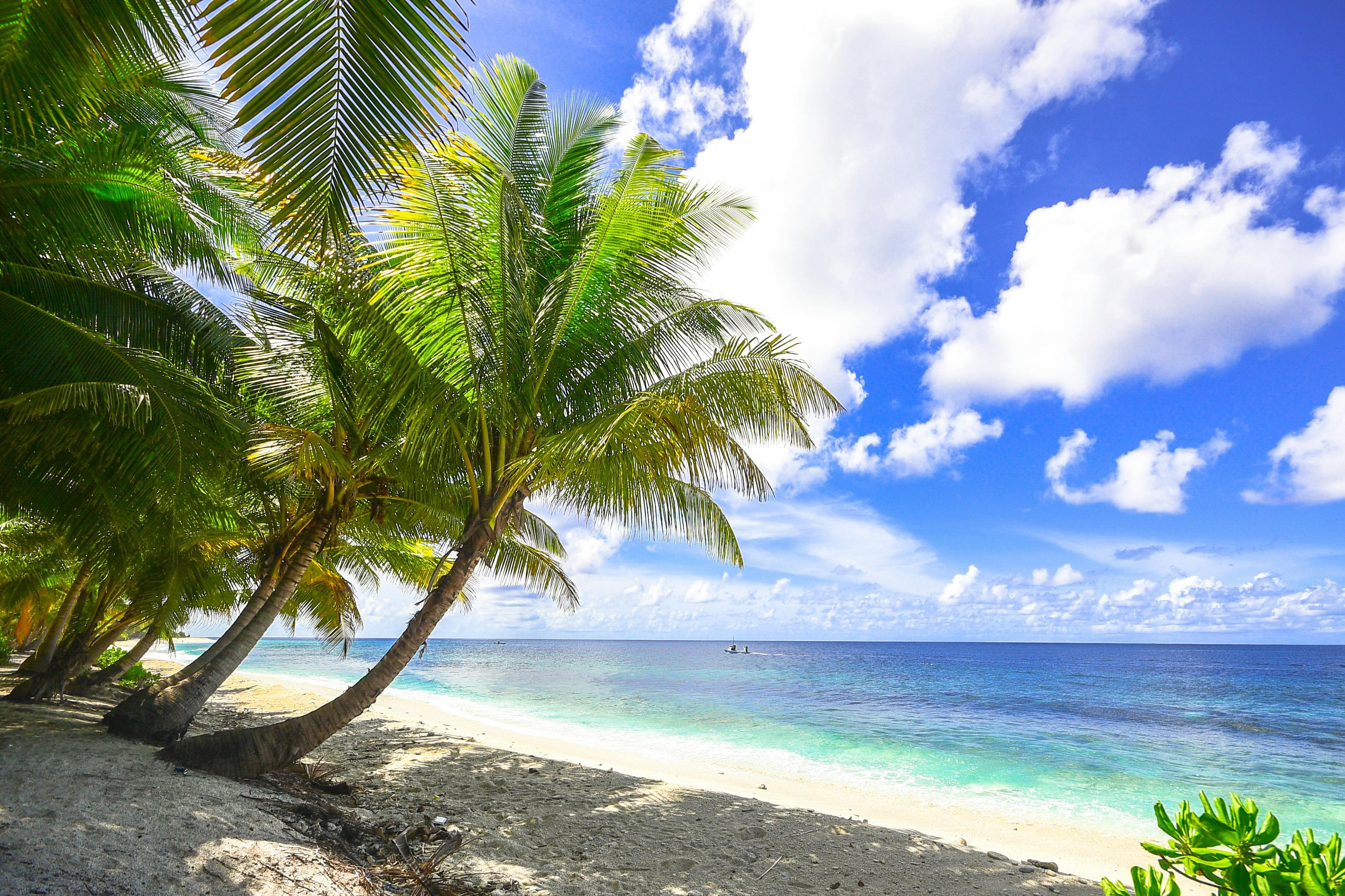 3 Days Diani Packages