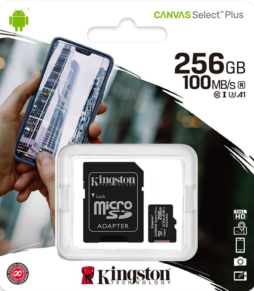 MICRO SD 256GB