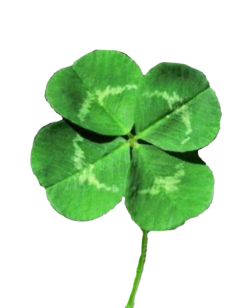 Saint Patrick's Day & 4-Leaves-Clover