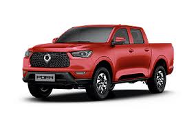 Great Wall Poer Plus