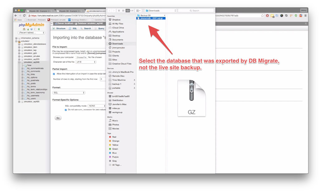 Importing the database