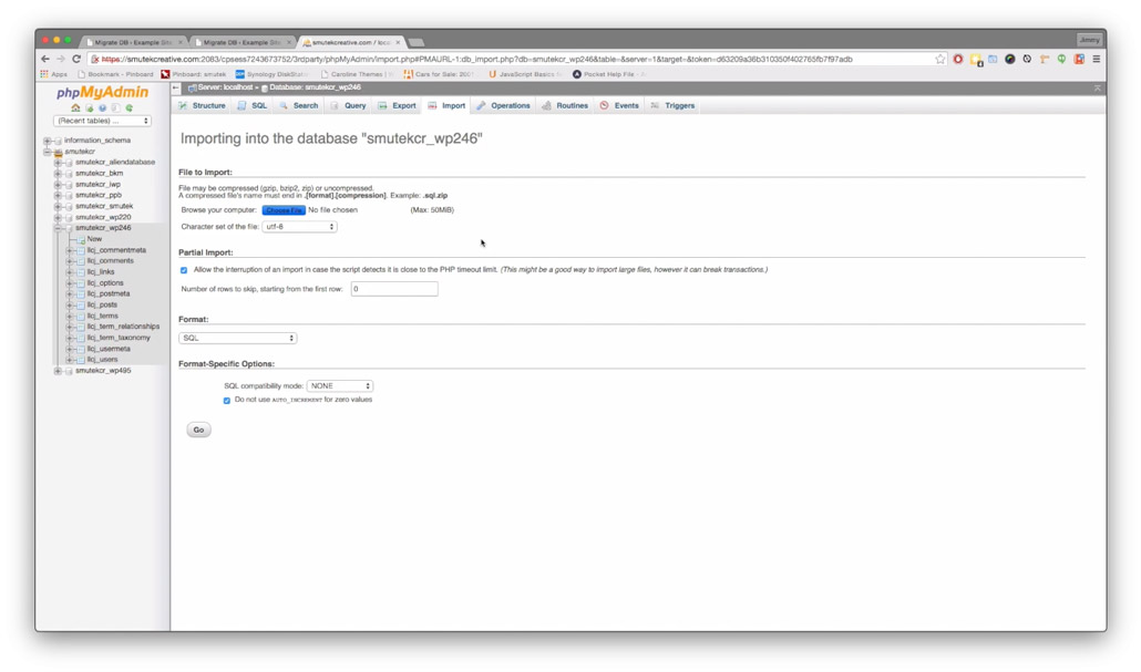 phpMyAdmin import screen