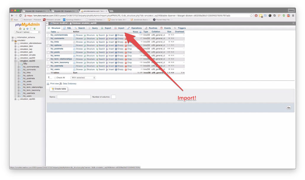 Import button in phpMyAdmin
