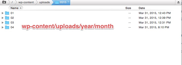Image of WordPress uploads folder structure