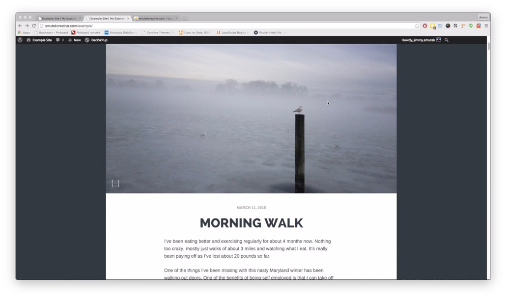 Image of a WordPress site running on a remote server