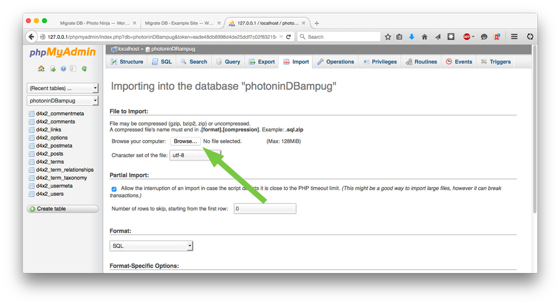 PHPMyAdmin import page