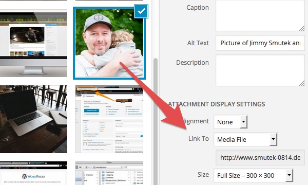 Image of the default insert media settings.