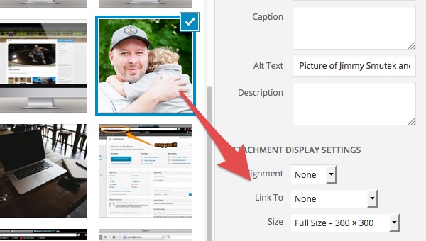 Image of the insert media settings set to none.