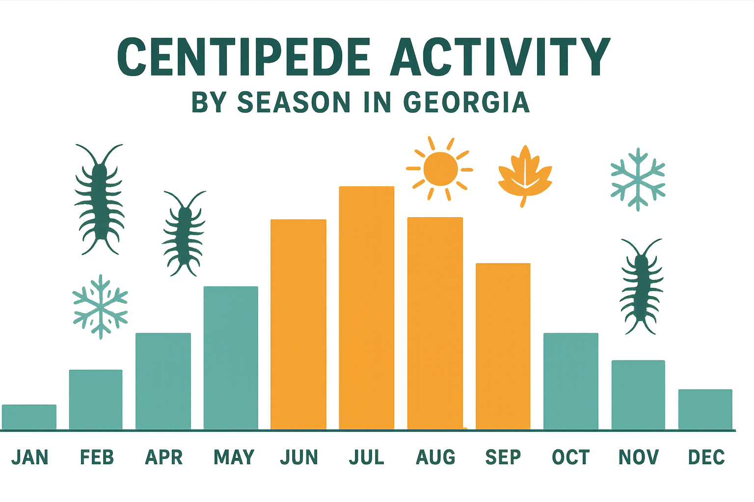 Seasonal activity chart showing peak centipede months in Georgia
