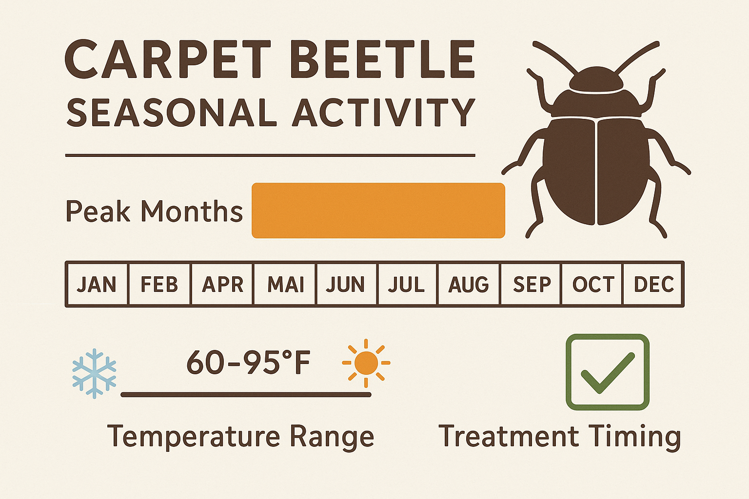 Seasonal activity chart for carpet beetles