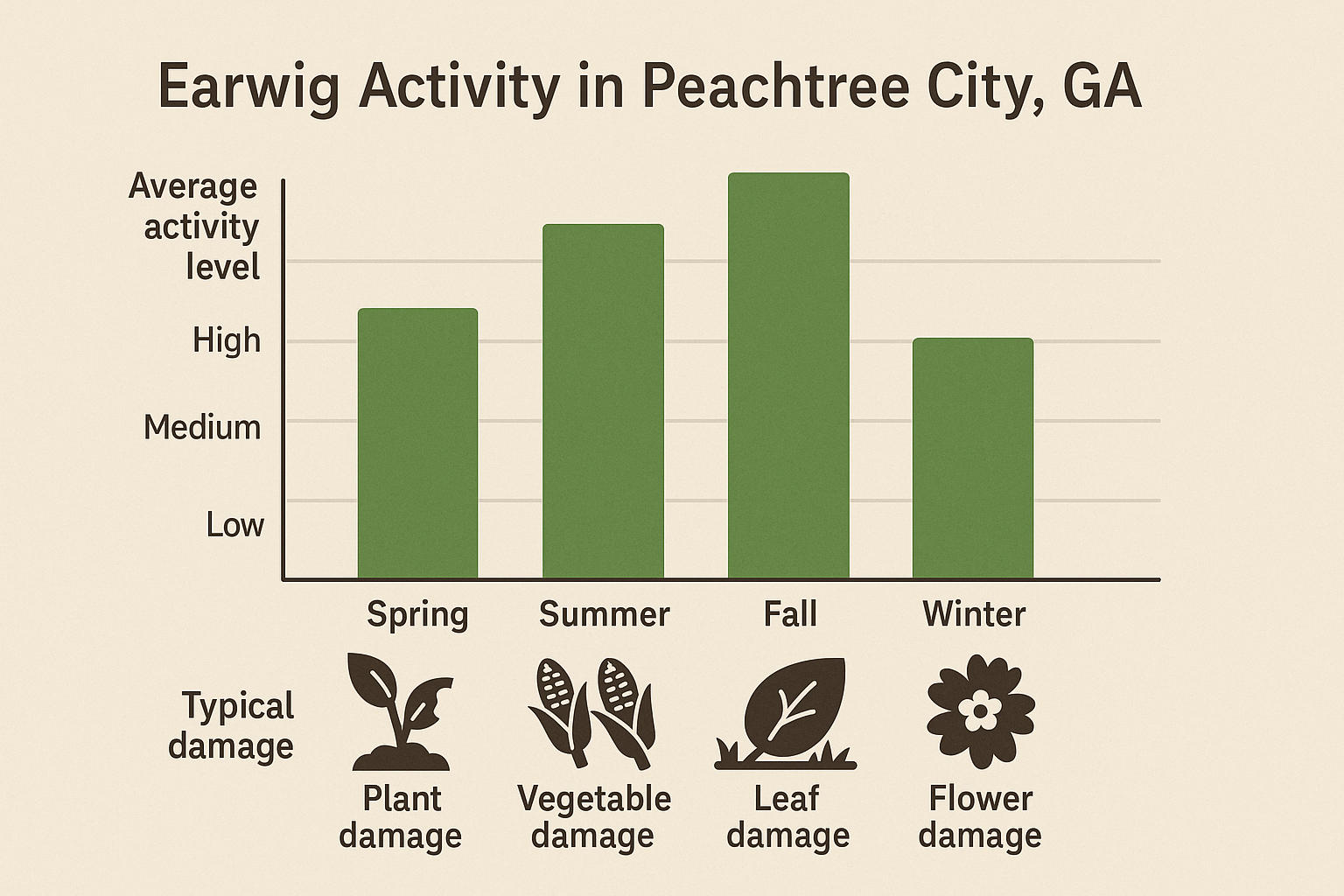 Infographic showing earwig activity levels and typical damage for each season in Peachtree City