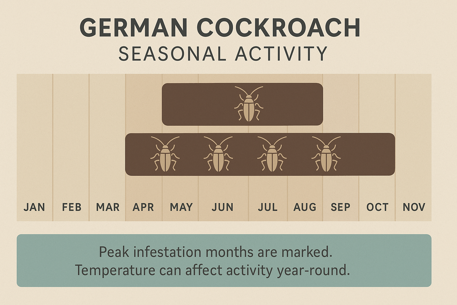 Seasonal activity chart showing German cockroach population peaks in May through August and lows in winter months