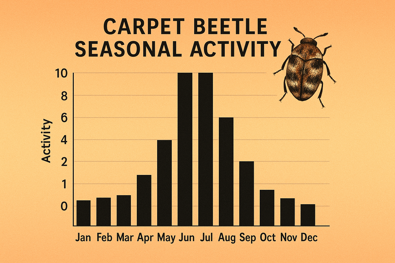 Bar chart showing carpet beetle activity levels from January through December