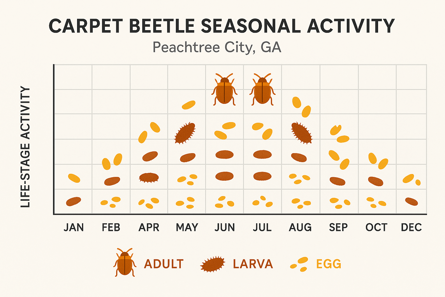 Seasonal activity chart for carpet beetles in Peachtree City