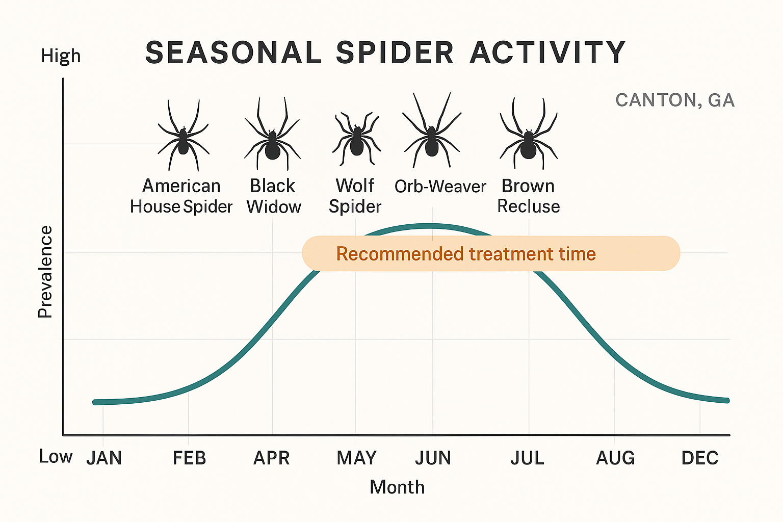 Seasonal spider activity chart for Canton, GA