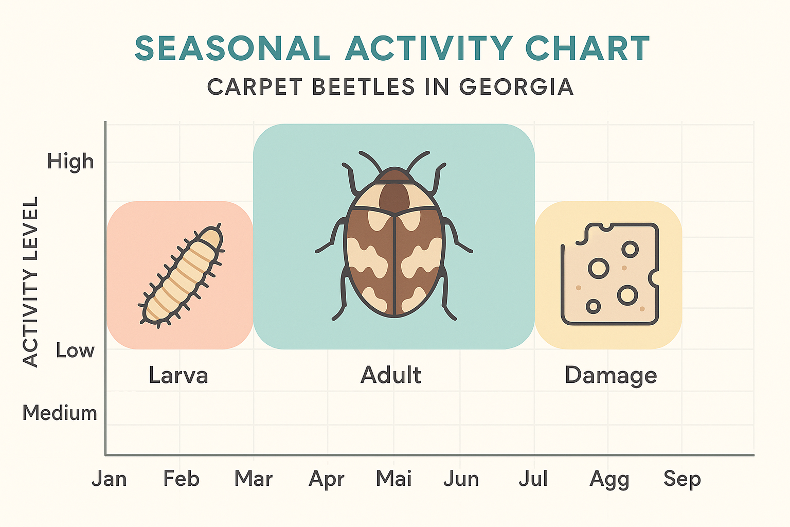 Seasonal activity chart showing carpet beetle activity levels in Georgia from January to December