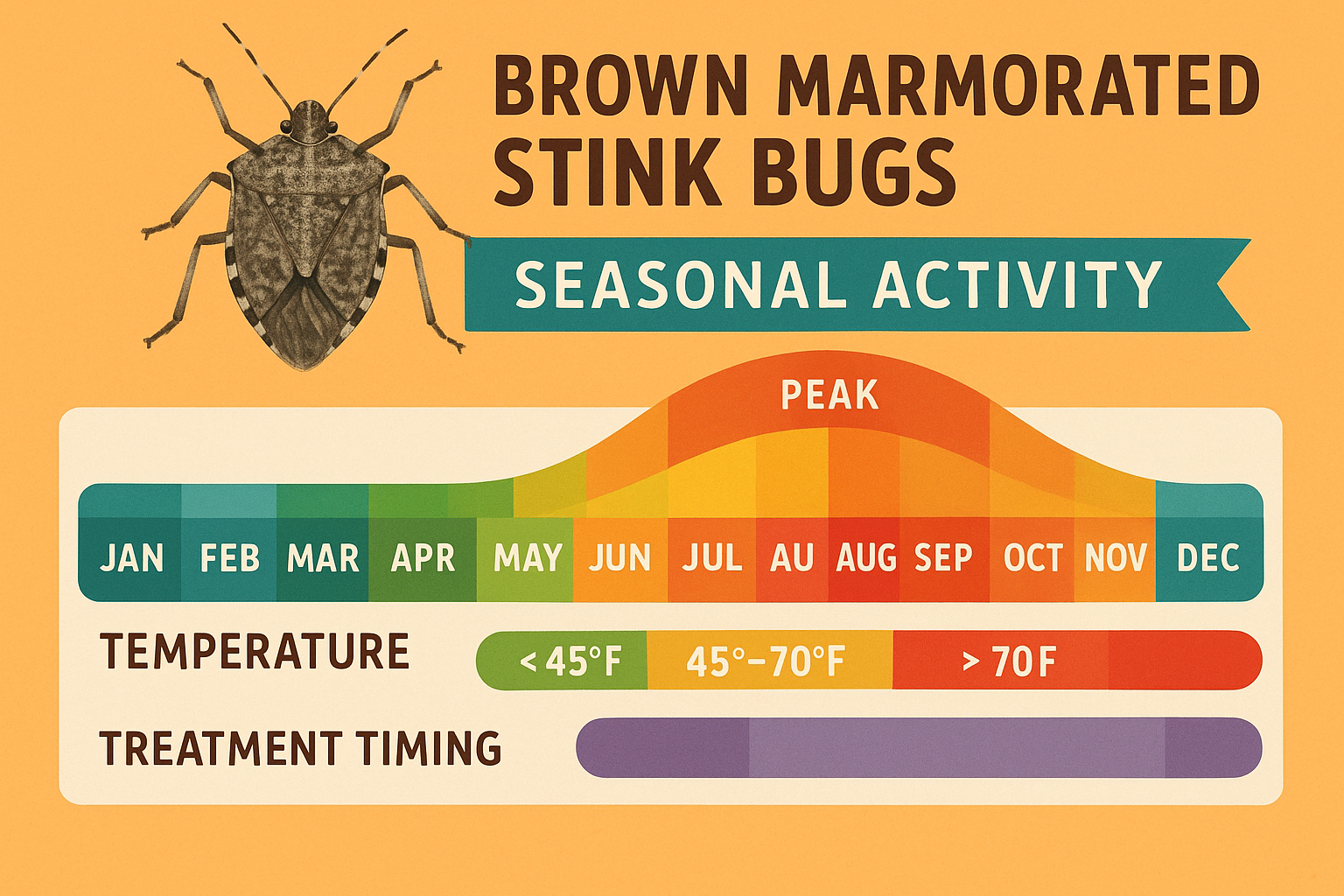 Seasonal activity chart for brown marmorated stink bugs in the Southeast United States