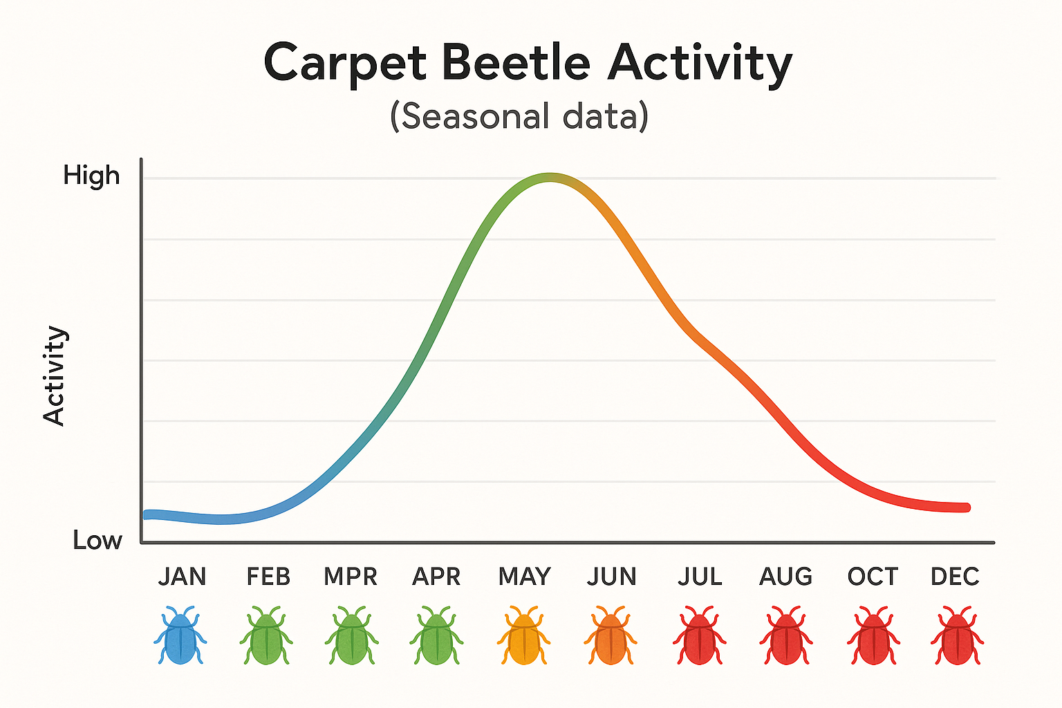 Carpet beetle cost and seasonal activity infographic