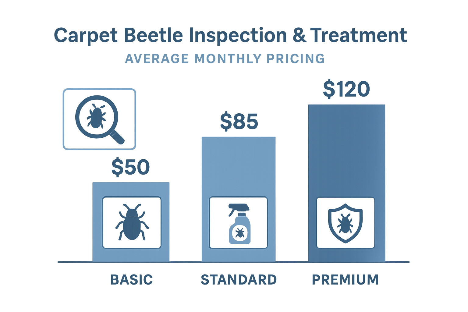 Carpet Beetle Inspection in Suwanee, Georgia: What to Expect and When to Call a Pro 4 Carpet beetle inspection and treatment in a home