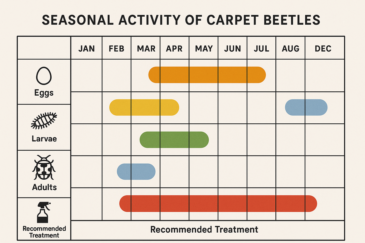 Seasonal activity chart showing month-by-month peaks for carpet beetle egg laying, larval growth, and adult emergence