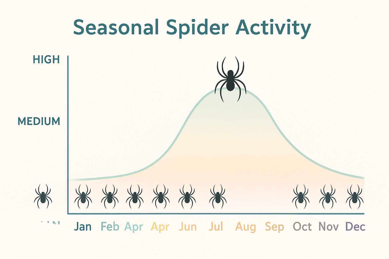 How much does spider control cost in Cumming, Georgia? 4 Seasonal spider activity chart for Cumming, GA