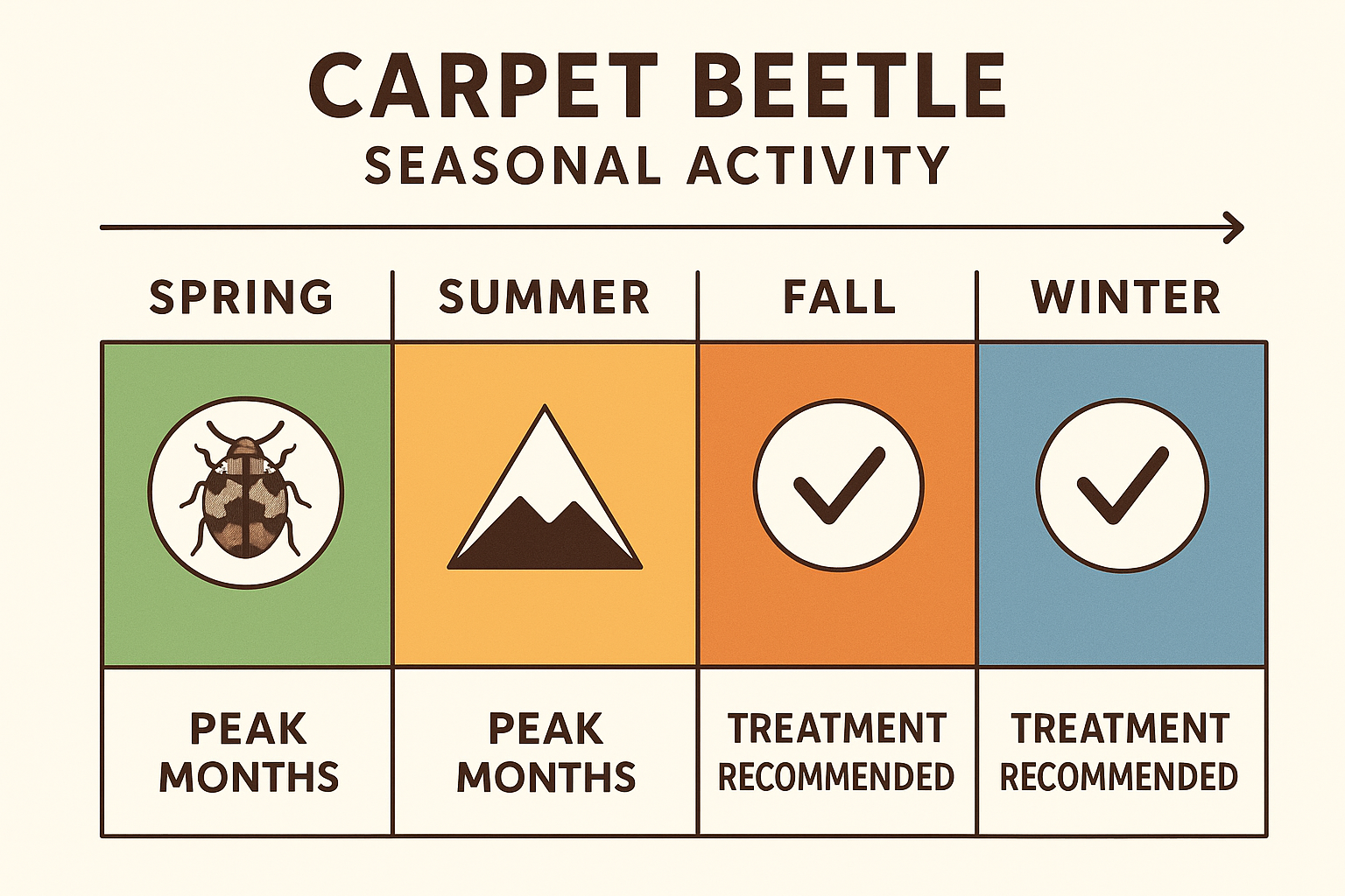 Seasonal activity chart for carpet beetles