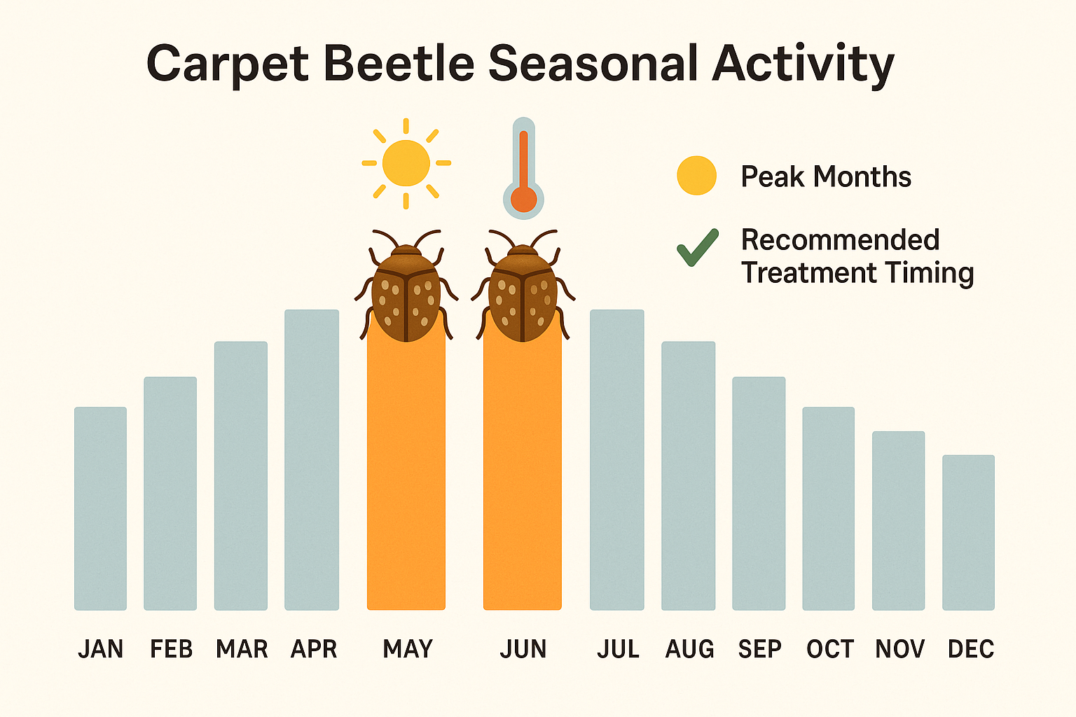 Seasonal activity chart for carpet beetles showing spring and summer peaks
