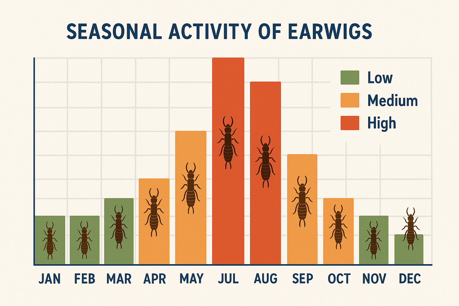 Earwig seasonal activity bar chart from January to December