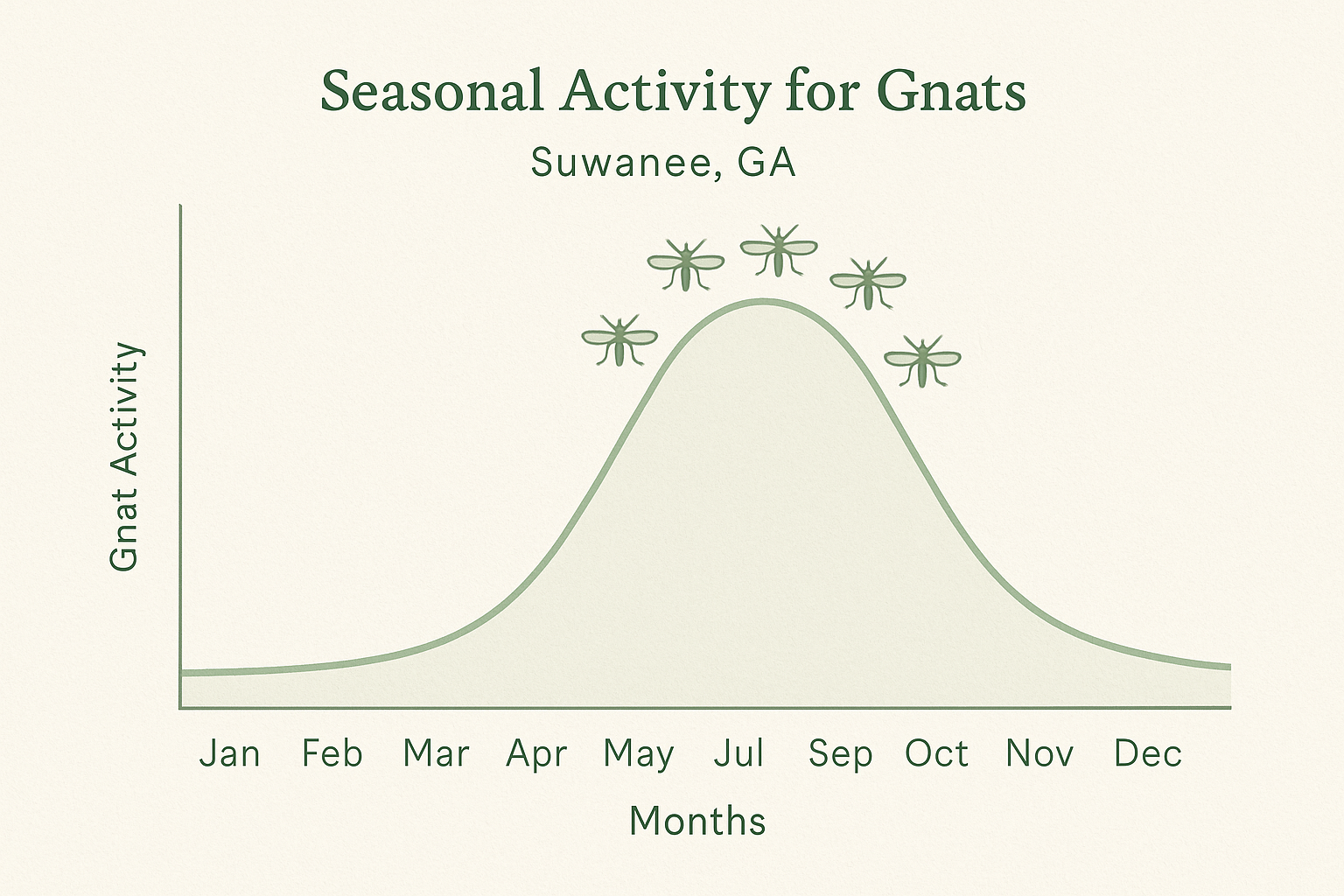 Find a Gnat Exterminator Near You in Suwanee, GA: Local Guide 3 Diagram of gnat life cycle and seasonal activity in Suwanee