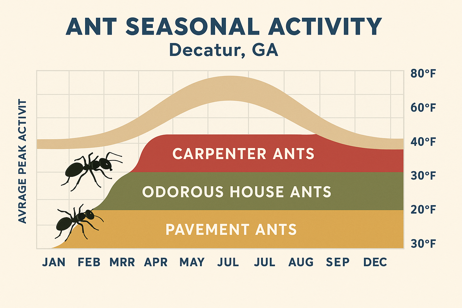 Seasonal activity chart for common ant species in Decatur, GA