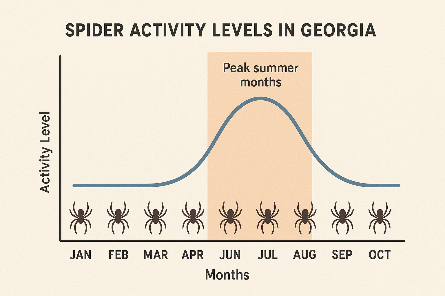 How much does spider control cost in Buford, Georgia? 3 Seasonal spider activity chart for Georgia, showing low activity in winter and peaks in summer and early fall