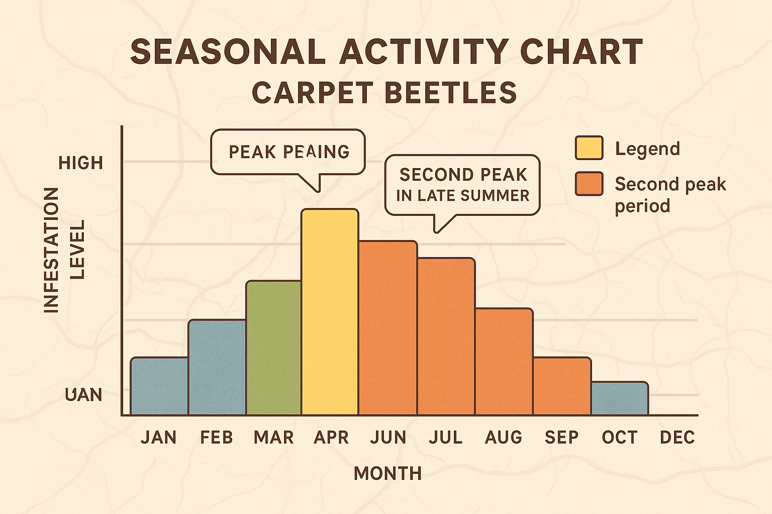 Seasonal Activity Chart