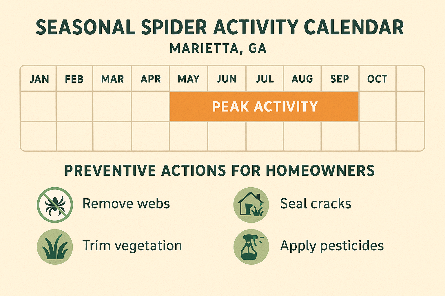 Seasonal spider activity calendar for Marietta, GA