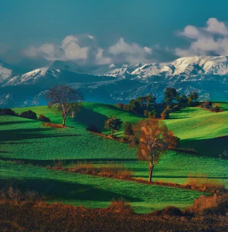 Birkaç Günde Adana