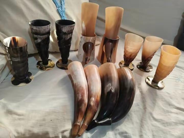 Horns