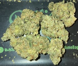 Fruitcup (1gram)