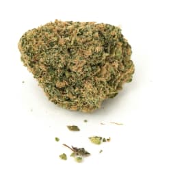 Grape canyon zkittlez (1gram)