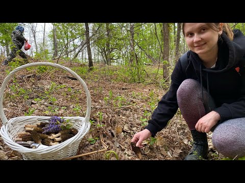 Дневник Новой Фабрики Звезд. Выпуск от 15 декабря 2017