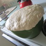 sourdough-active-iso