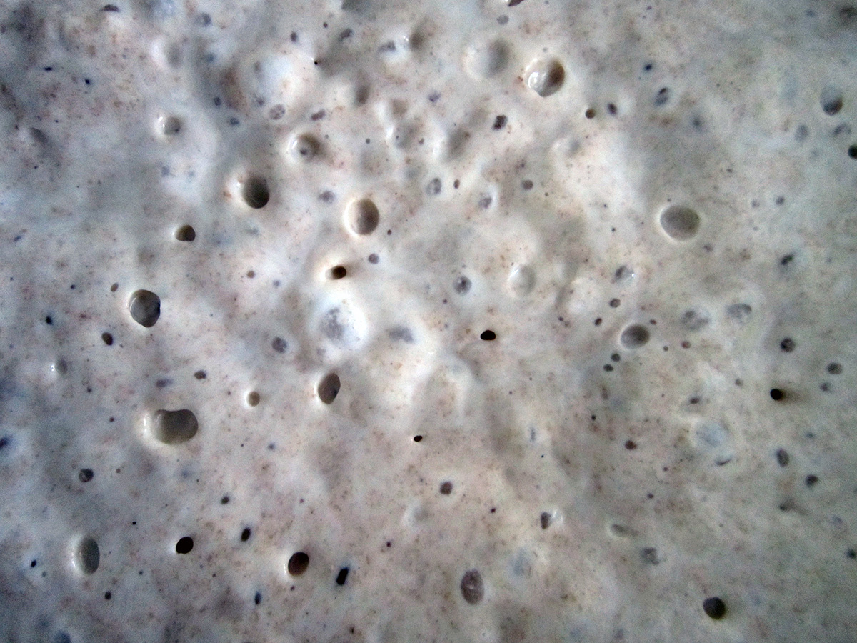 Waking up the sourdough.