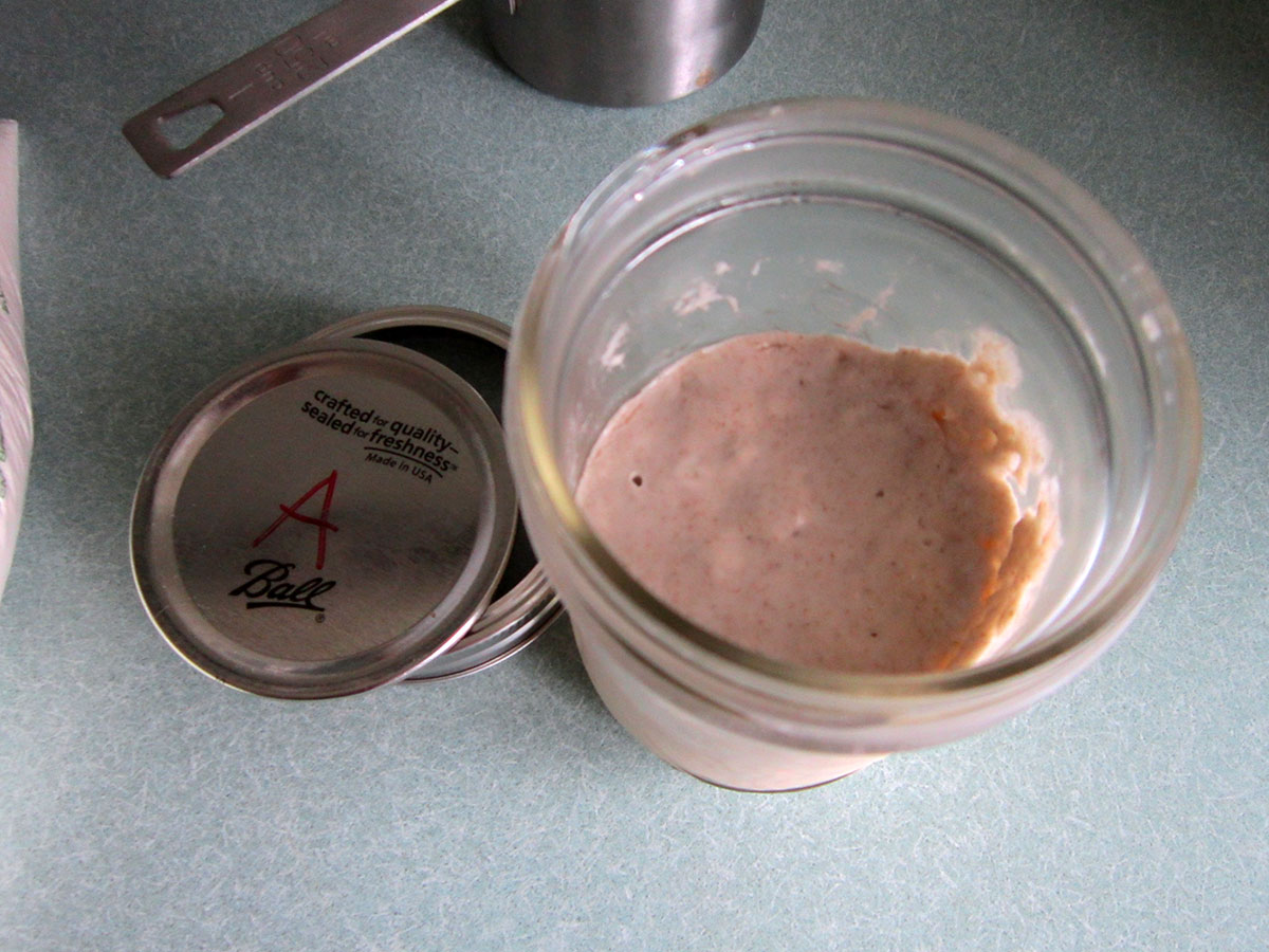 Sourdough Feed