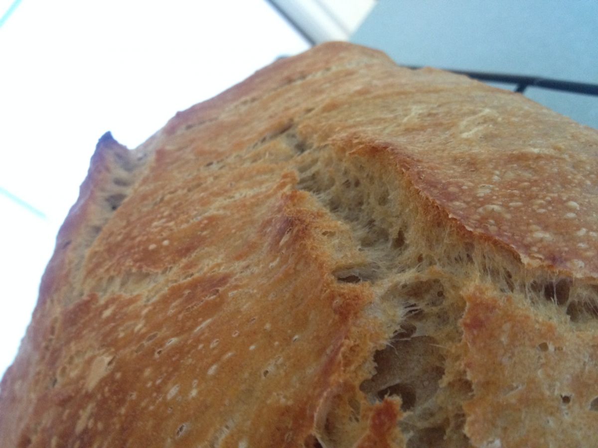 Best Sourdough Yet