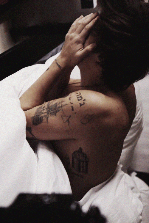 harry styles birdcage tattoo