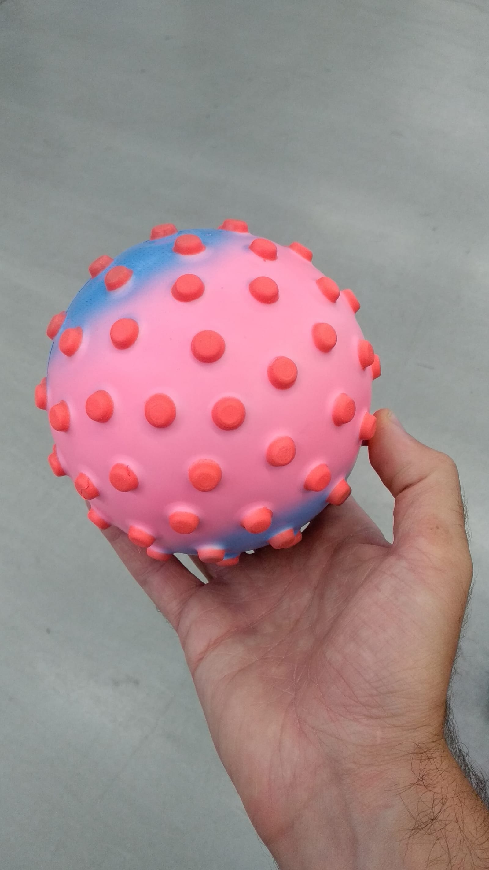 on hold - A pink and blue ball with red flat spikes is in the right hand - pink and blue ball, right hand - paul lahana