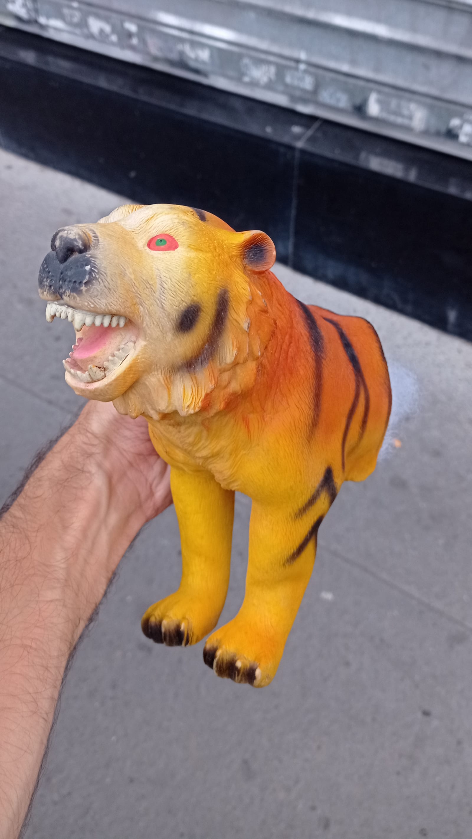 halves (one of two) - one half of a tiger is hold - tiger (first half) - paul lahana