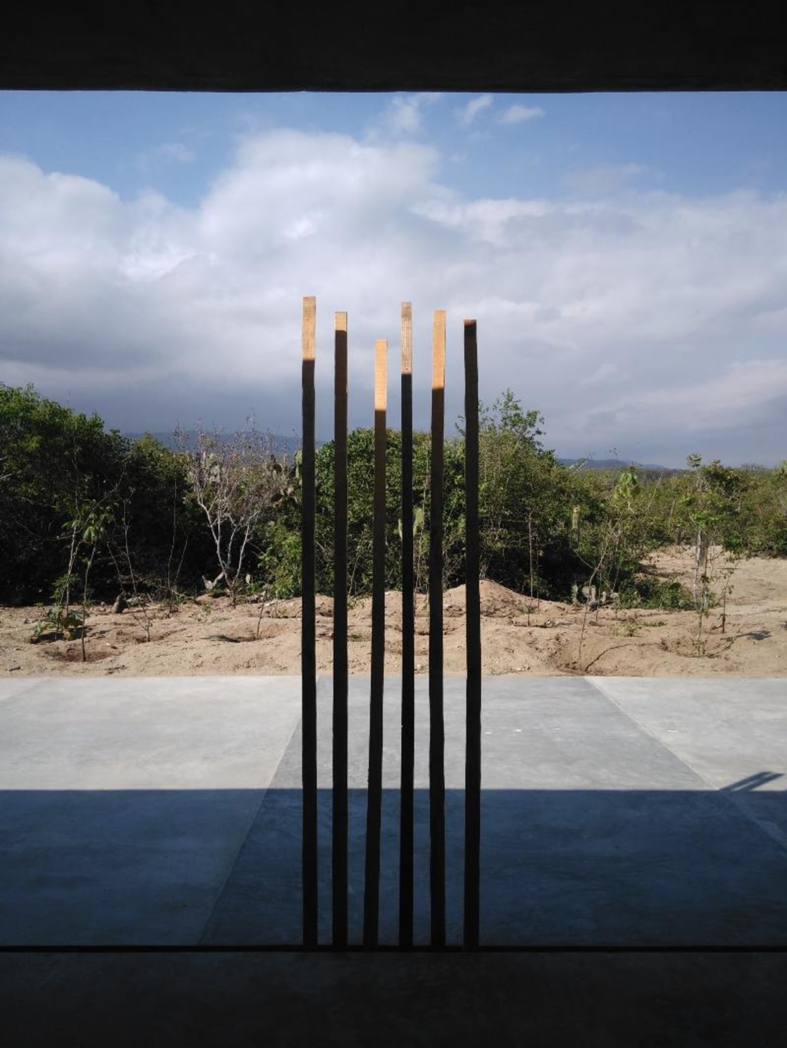 woods - in casa wabi, six long wood pieces are standing by themselves in front of a cement floor, sand, mexican plants and a mountain - wood - paul lahana