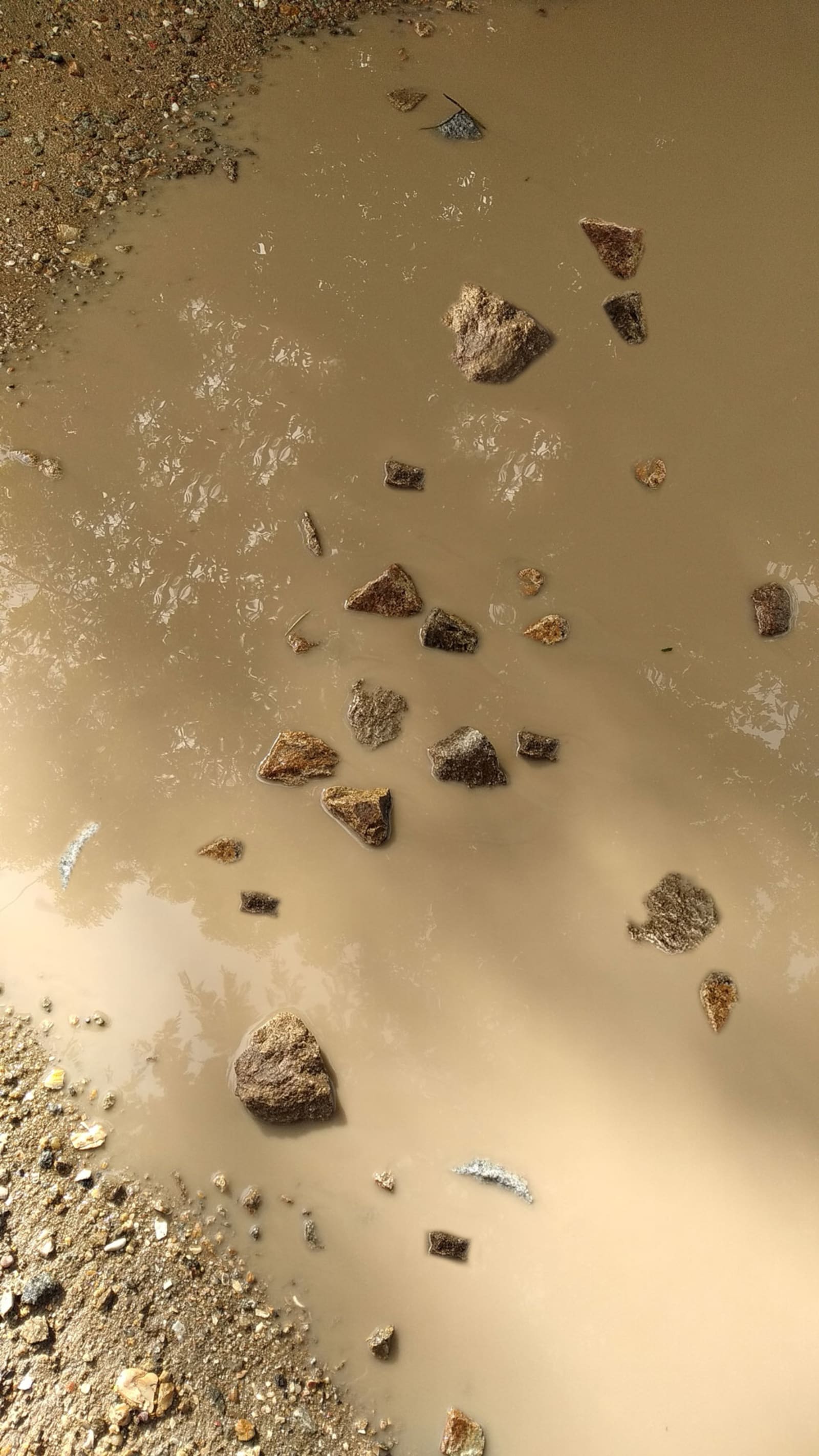 Islands - Many brown-ish rocks are surfacing out of a brown-ish puddle surrounded but brown-ish dirt - rocks, water, dirt - paul lahana