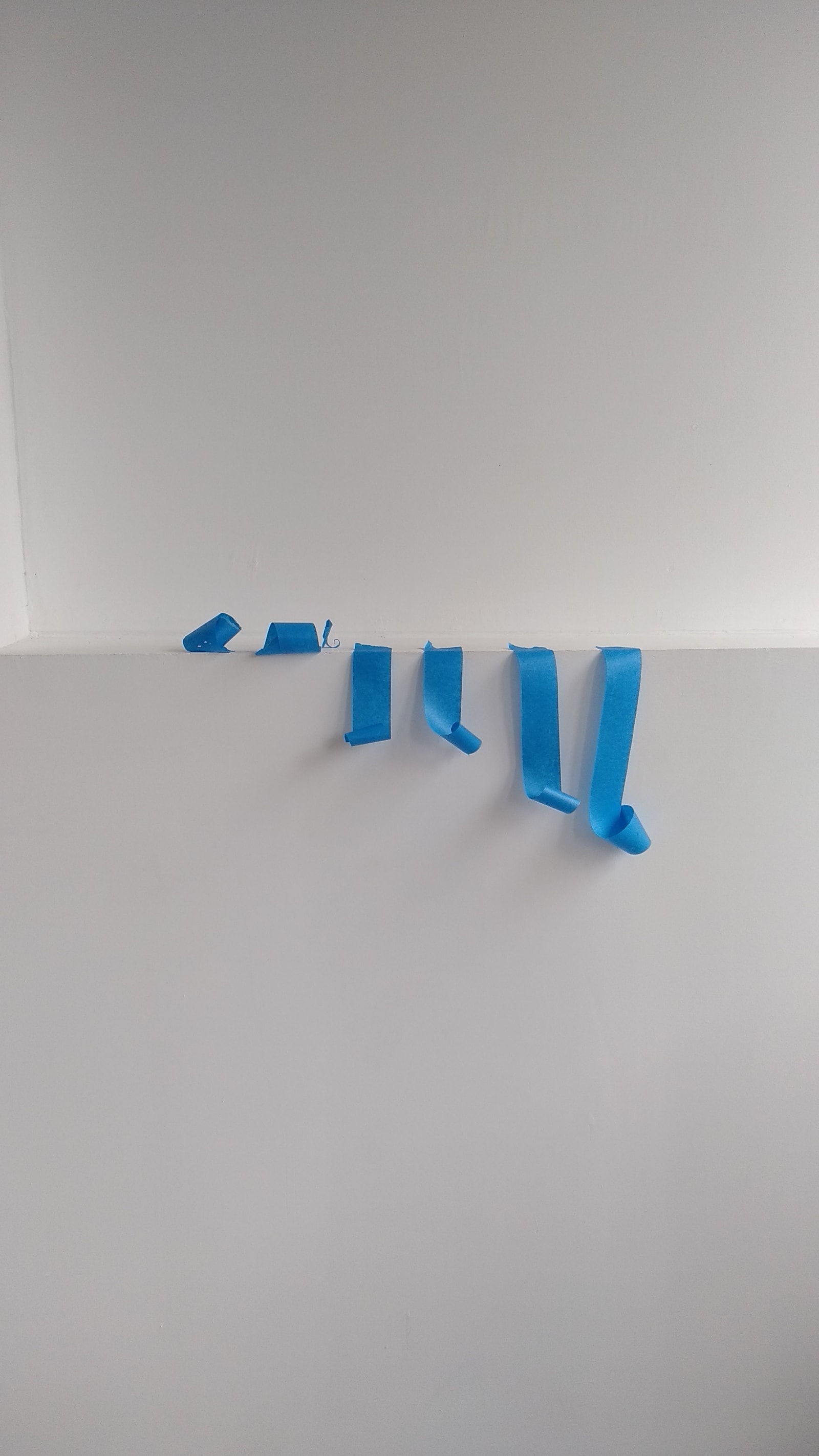 The tapes - Some blue tape is re-rolling it self from the angle of a wall - blue tape, wall - paul lahana