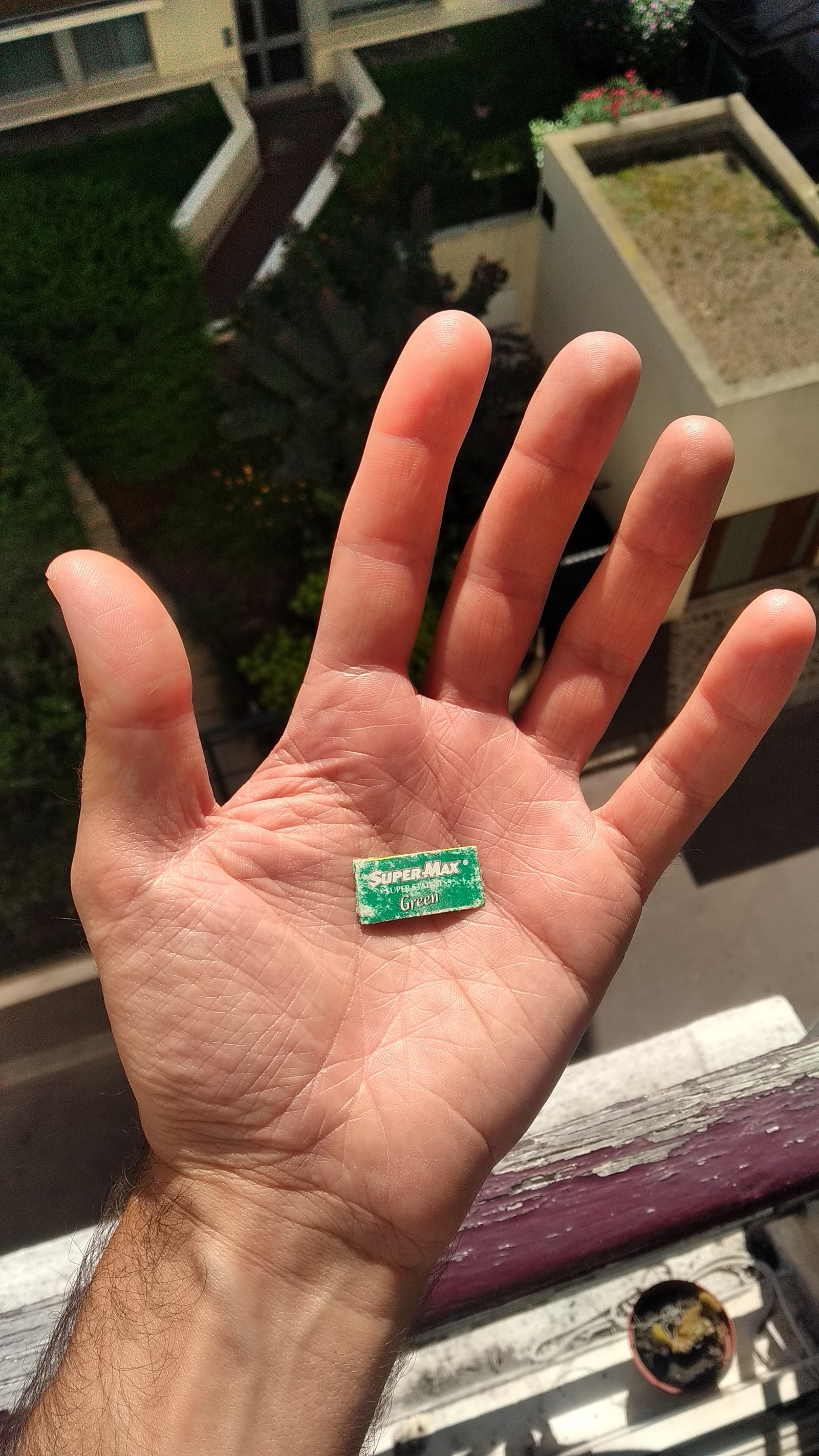 super max green - a green paper says 'super max green' in a left hand - green paper, left hand - paul lahana